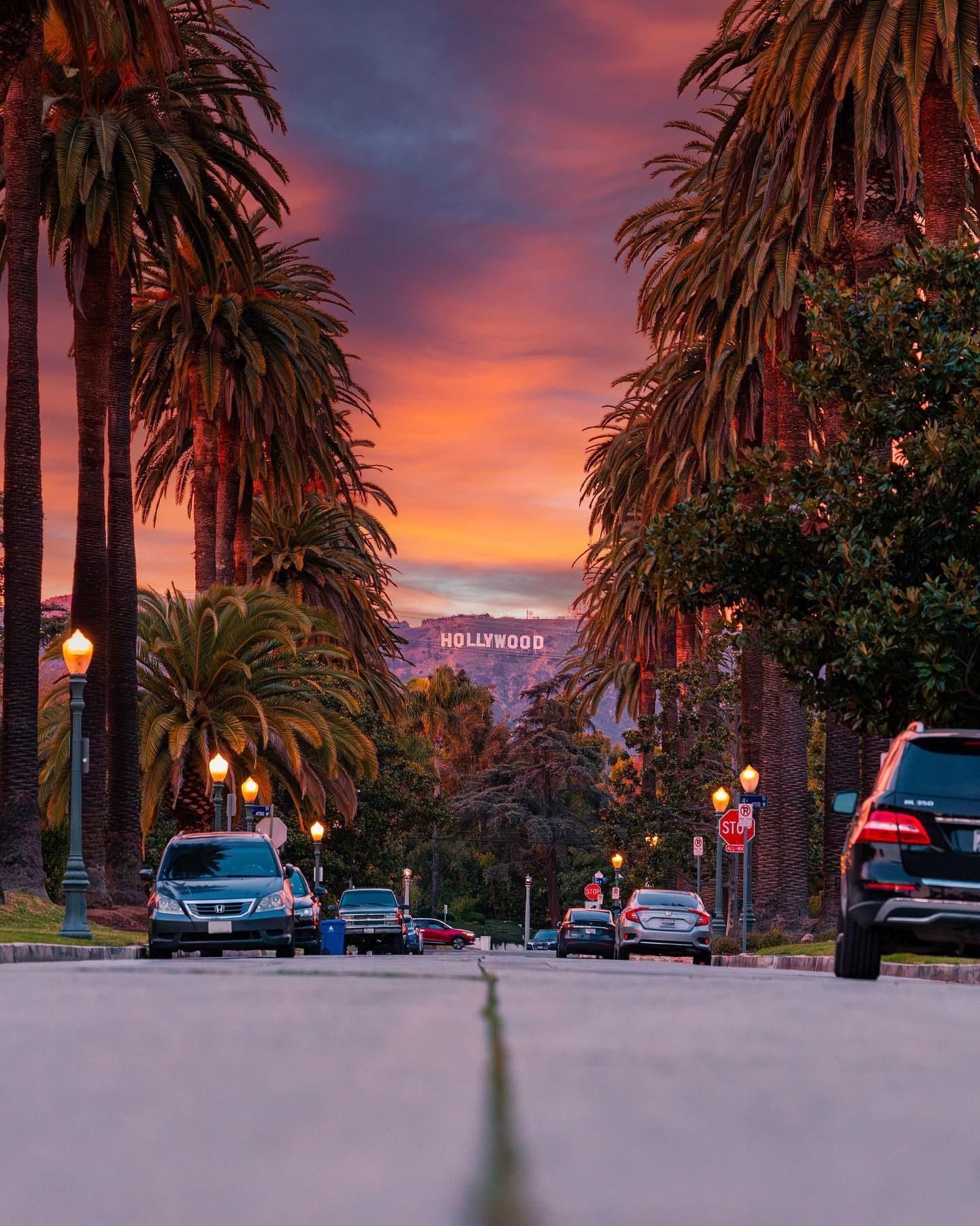 A palm-lined street at sunset, with the Hollywood Sign small and far on the hill at the end