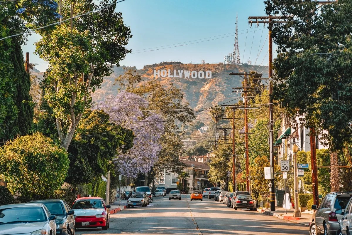 Beachwood Drive in the morning light, with jacaranda in bloom and the Hollywood Sign on the hill above
