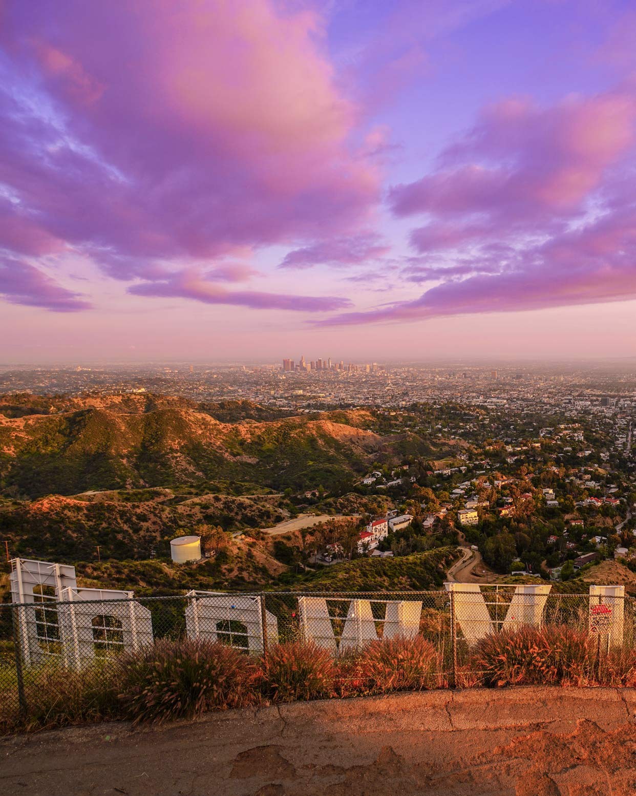 The back of the Hollywood Sign at sunset under pink clouds, with Downtown Los Angeles on the horizon