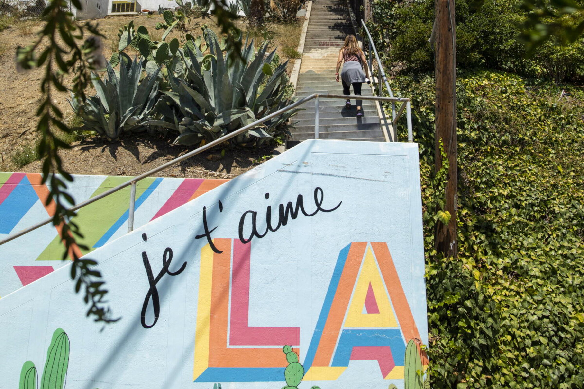 A close view of Silver Lake architecture and landscape